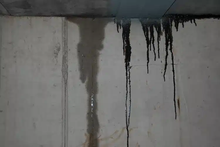 How to Check Water Leakage in Walls?